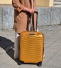 Samsonite Proxis 55 cm, Honey Gold thumbnail